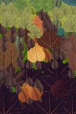 Gardeners - test 07 - score 70.36 - raw metric 7049105598 - submission 27346