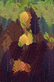 Seems to be O(k!) - test 07 - score 105.11 - raw metric 5767383363 - submission 24830