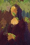 TerraLuna - test 07 - score 121.90 - raw metric 5355462382 - submission 27122