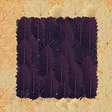 Zezanje - test 10 - score 118.63 - raw metric 22714707846 - submission 9937