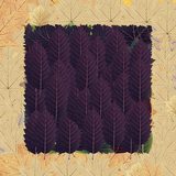 kenimuku - test 10 - score 165.42 - raw metric 19235883072 - submission 27506